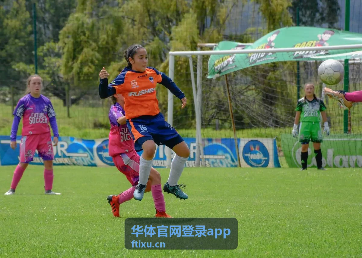 华体官网登录app消息提醒与通知界面